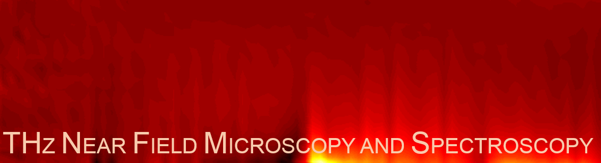 THz near-field microscopy