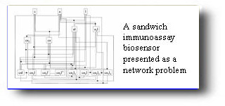 Immunoassay diagram