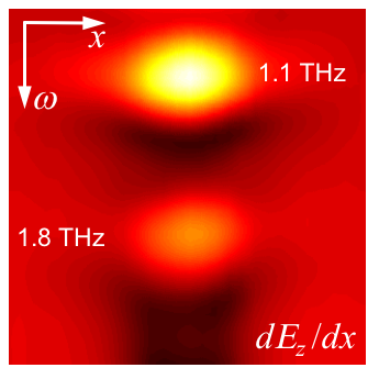 THz probe